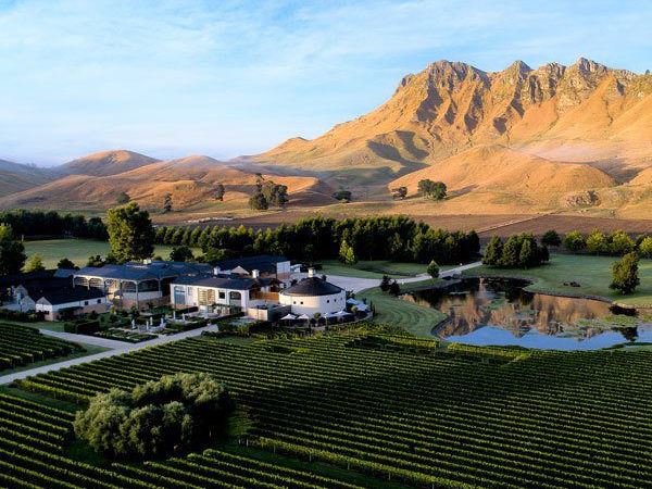 6 activities that celebrate New Zealand’s love affair with wine