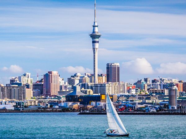 Amazing Cities in NZ