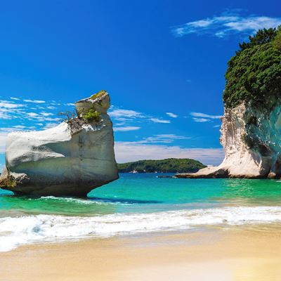 7 Day - North Island Active - Nature Tour