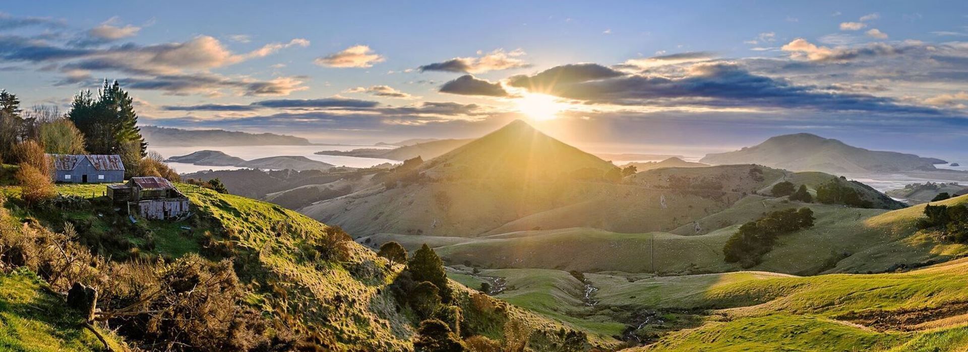 Authentic New Zealand… true to life