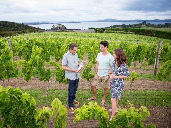 new zealand wine tours north island