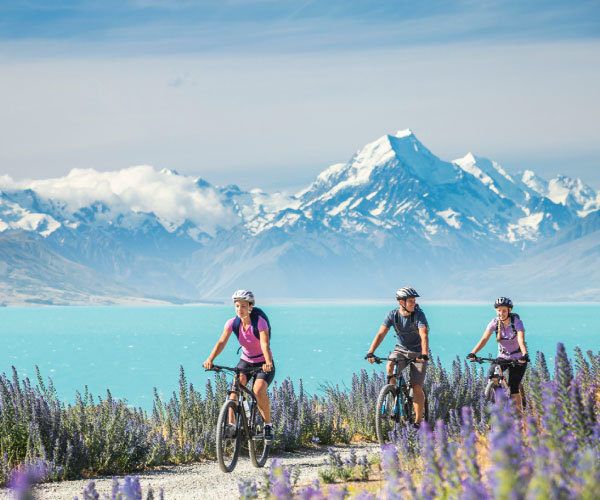 Exploring NZ with a guide – 5 ways to enhance your holiday