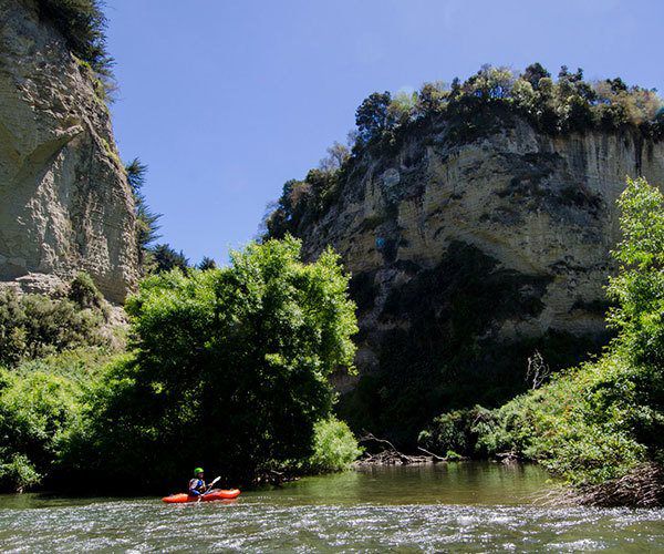 Authentic New Zealand… true to life