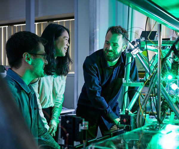 New Zealand has being amazing down to a science