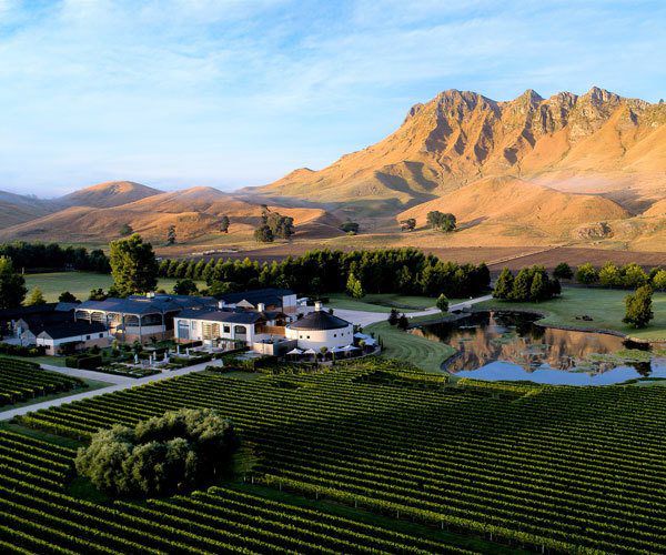 6 activities that celebrate New Zealand’s love affair with wine