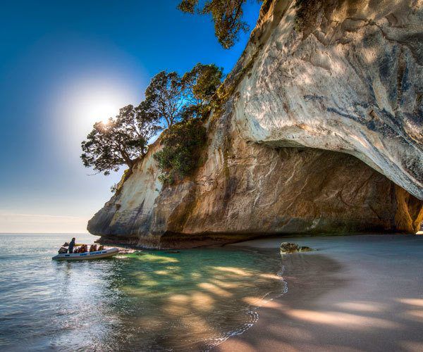 Connoisseur highlights: 5 tantalising experiences to try in New Zealand