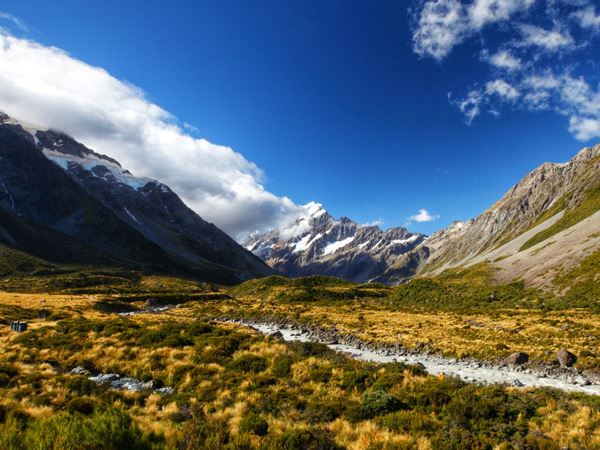 New Zealand and the red deer: fascinating facts you may not know