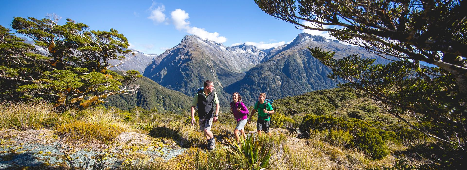 Discover the great outdoors on moderate hiking, biking & cruise tour of our country