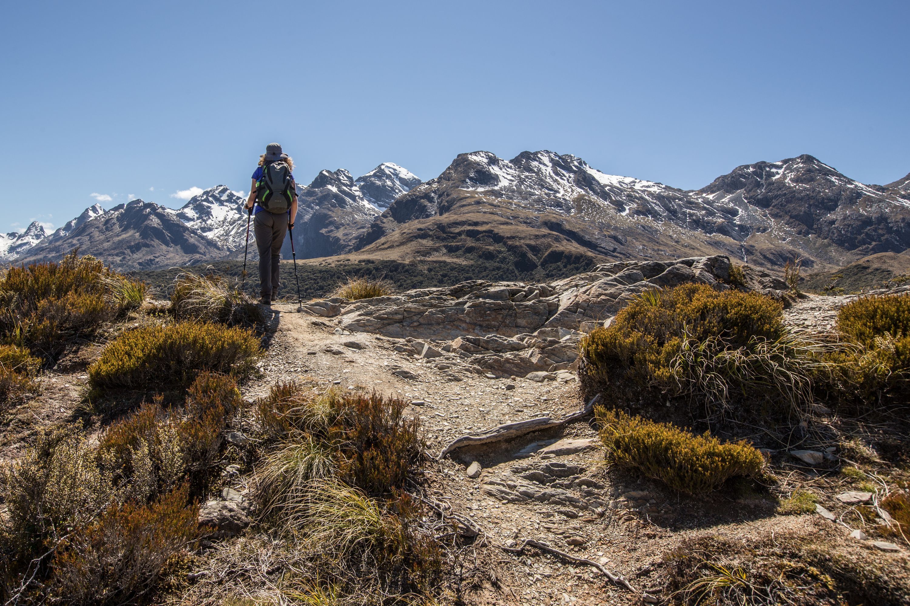12-Day South Island Active Explorer Tour