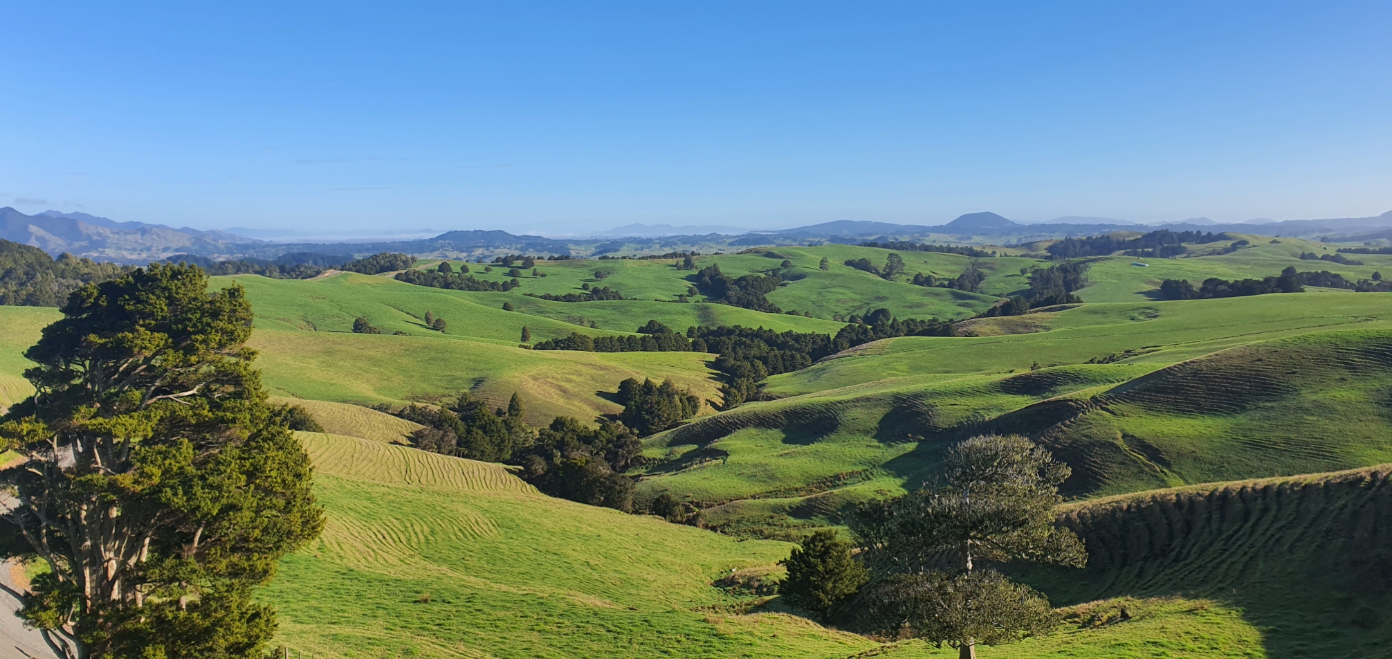 7- Day From Dunes to Mountains: A New Zealand Golf Journey