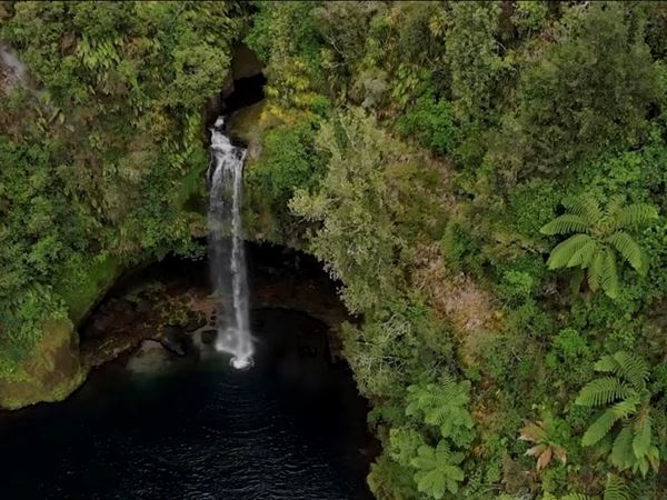 Aroha Tours Video