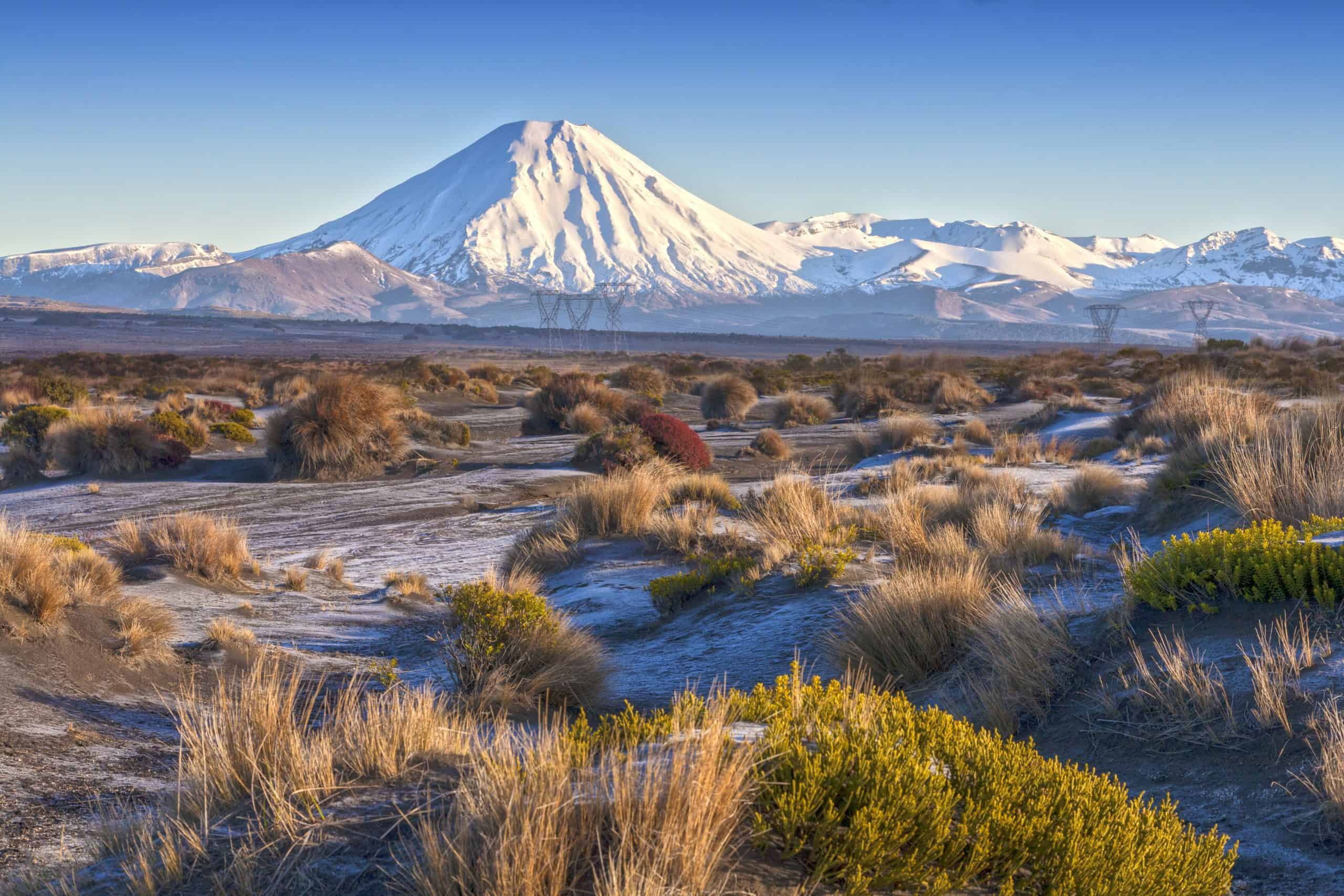 New Zealand luxury family travel without compromise