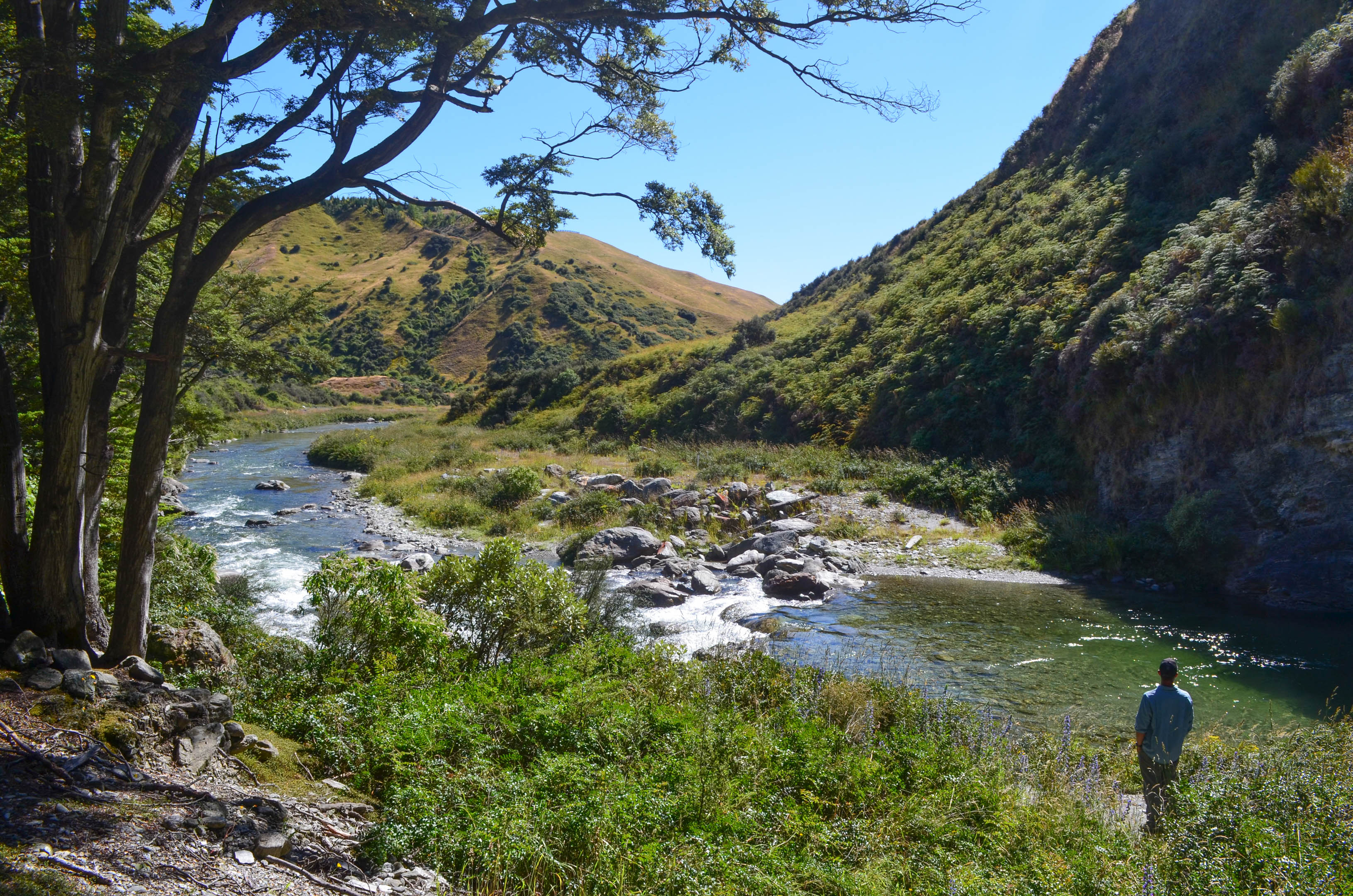 Advantages of a luxury private guided tour