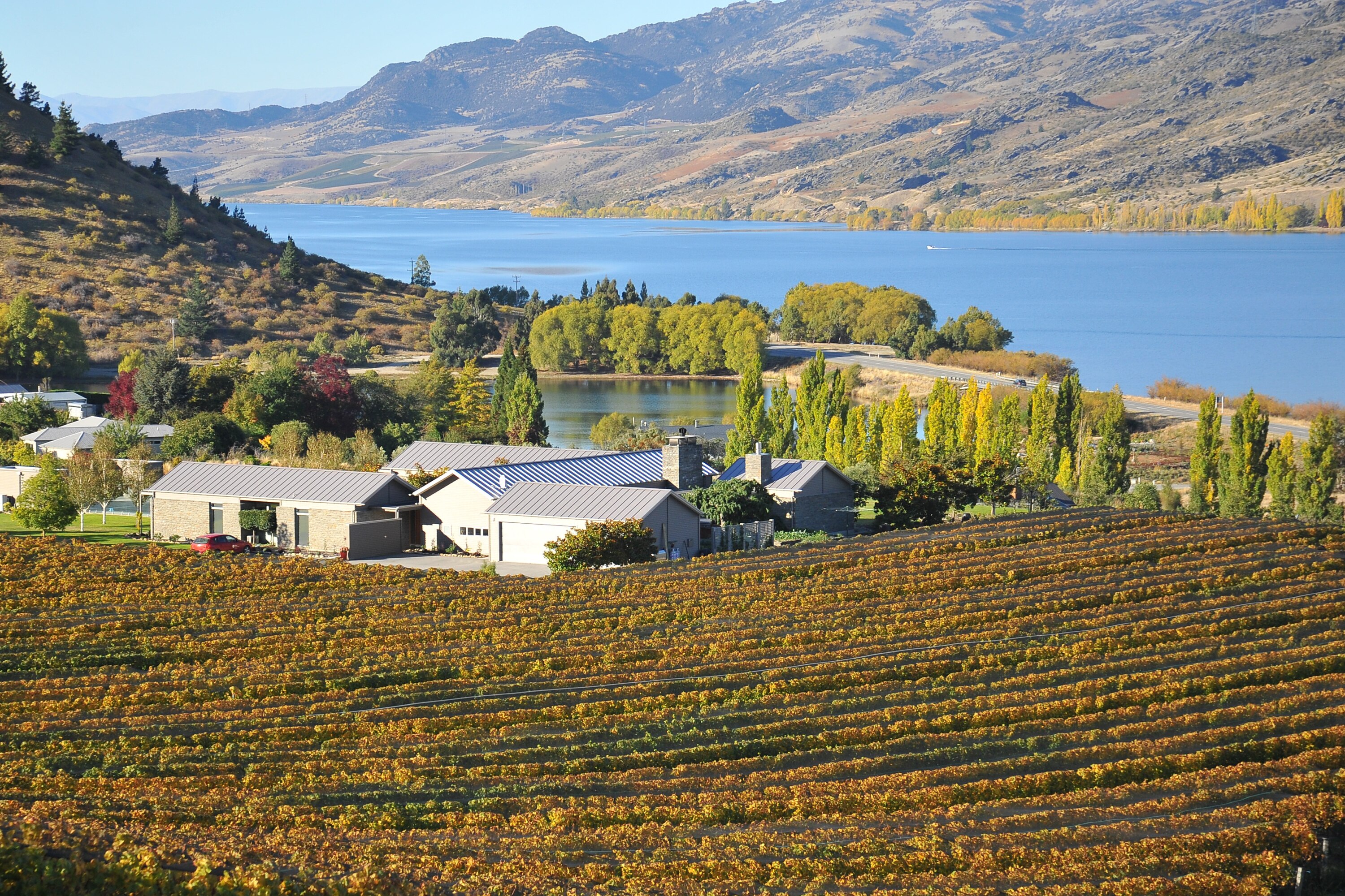 Boutique Bed & Breakfast