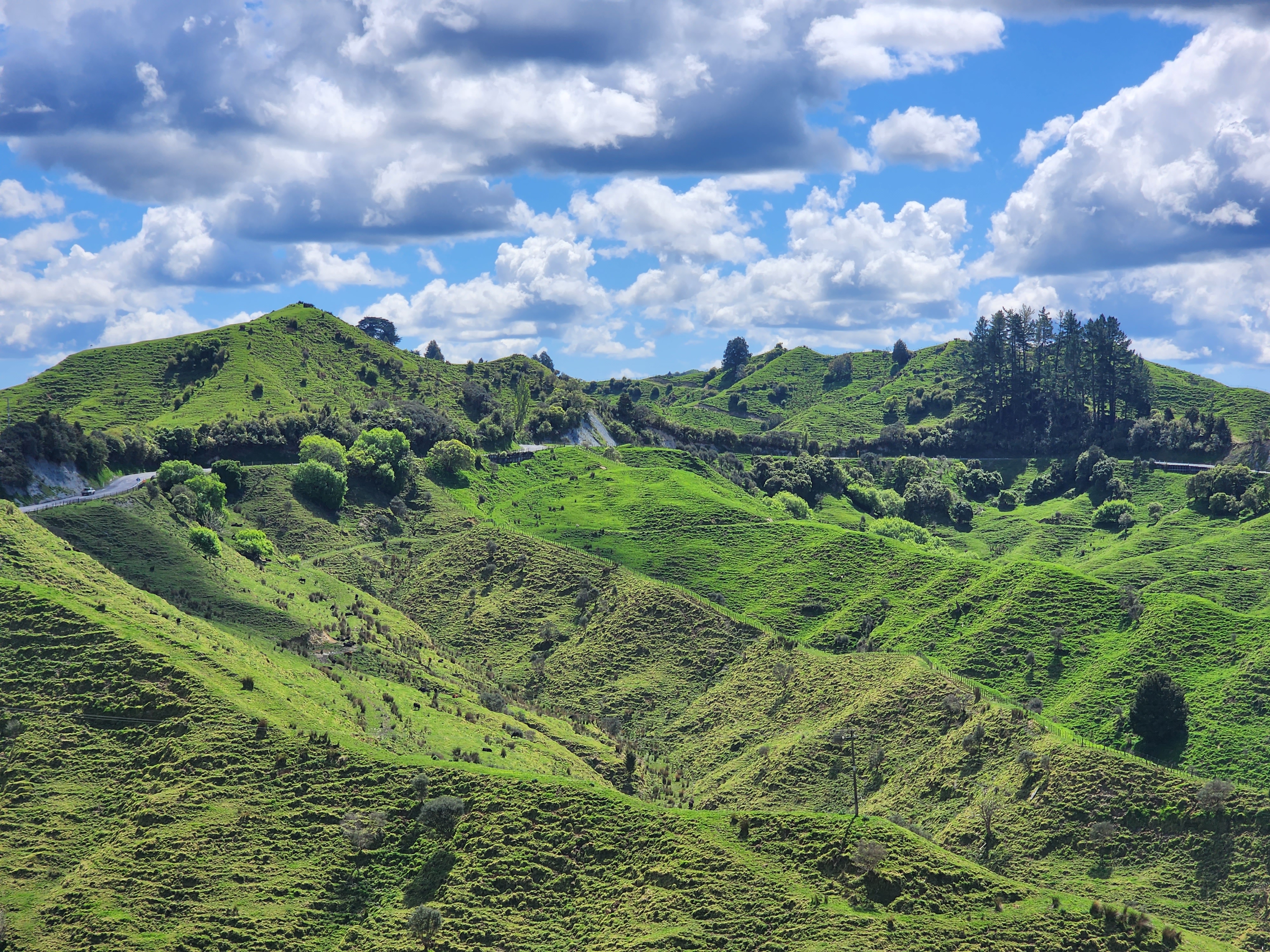 Waitomo