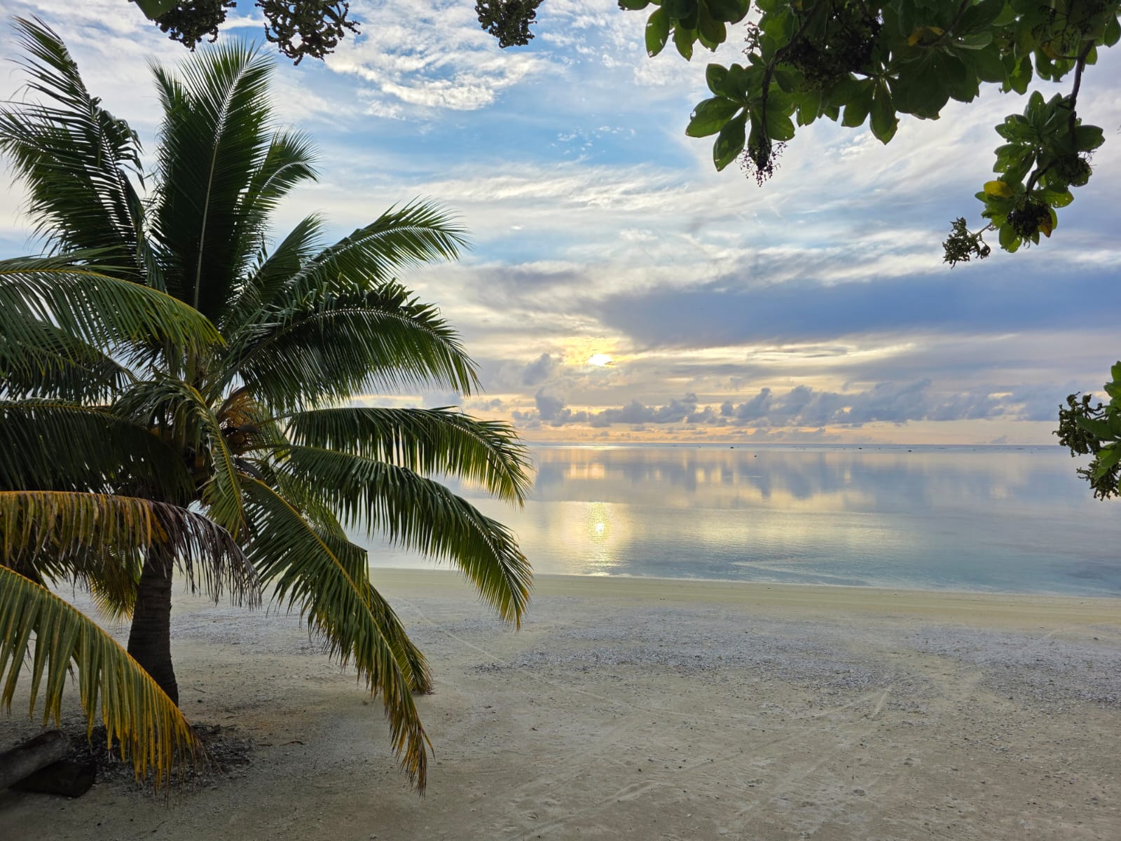 Pacific Island Tours & Vacations