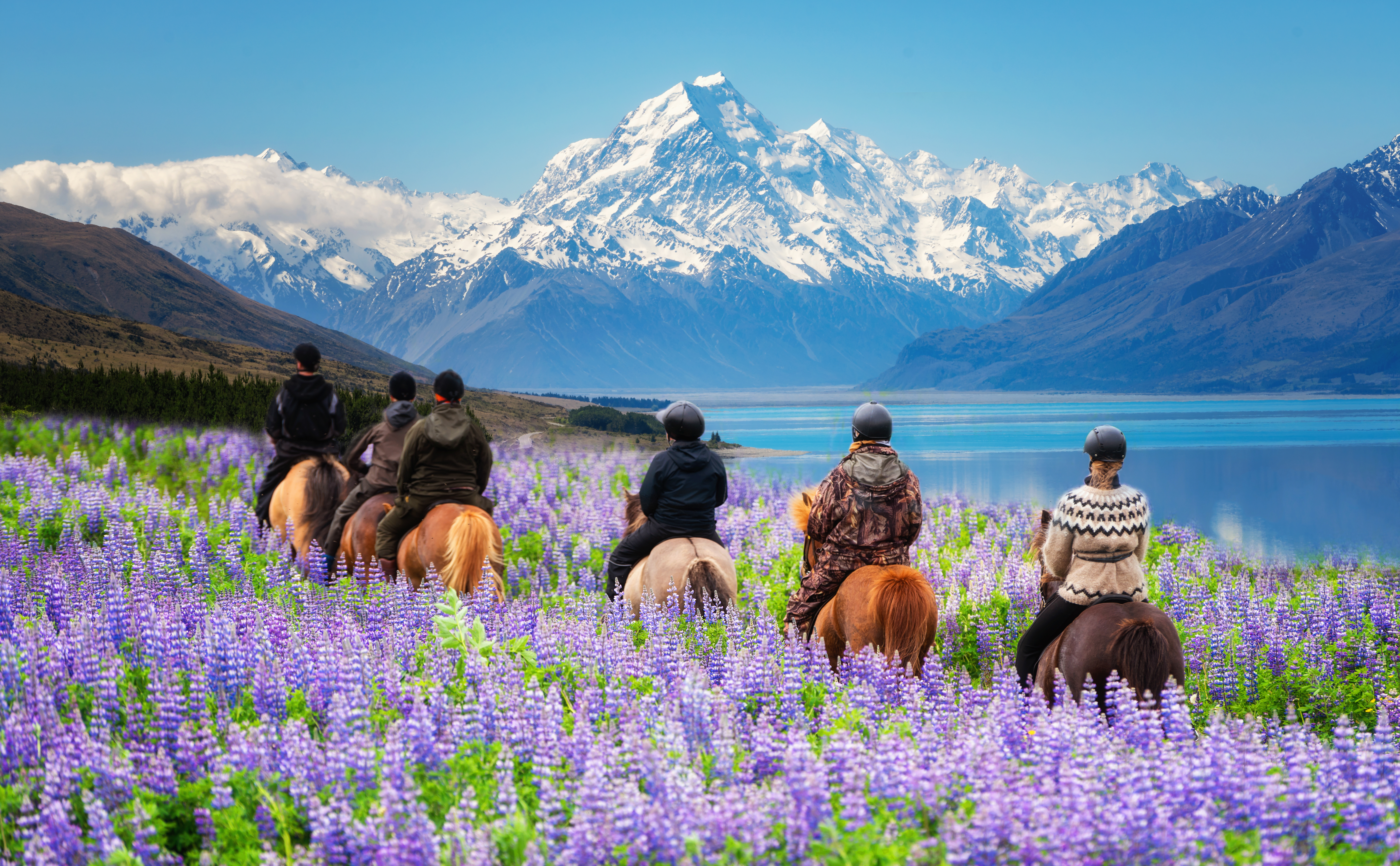 Luxury New Zealand Travel with your Private Guide