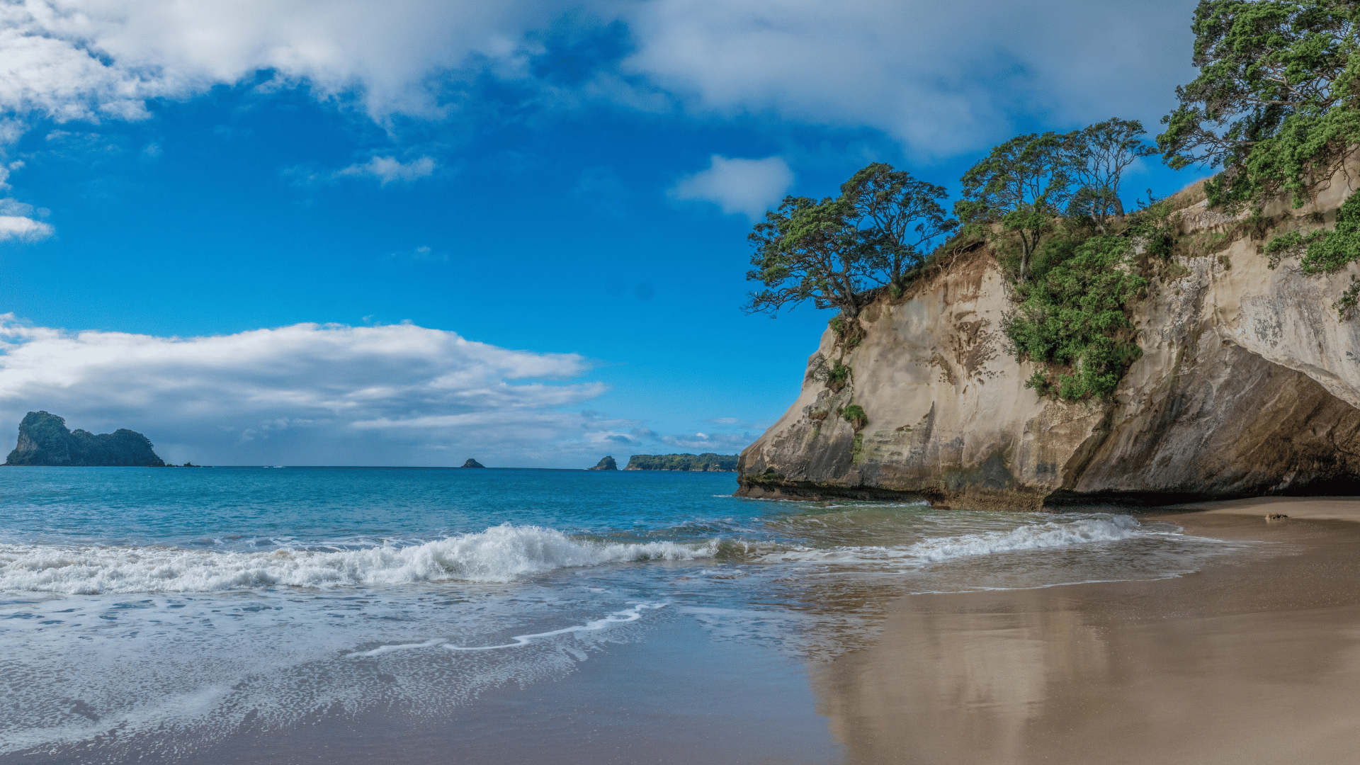 9-Day North Island Active Adventure Tour